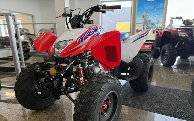 2026 Honda TRX250X
