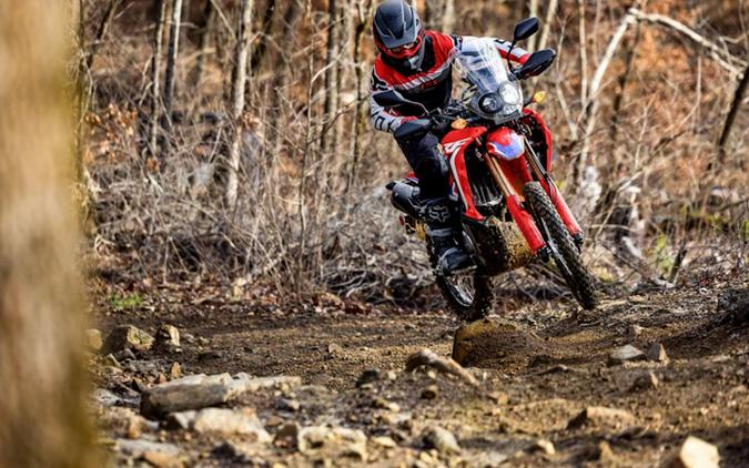 2024 Honda CRF® 300L Rally