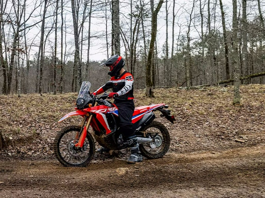 2024 Honda CRF® 300L Rally