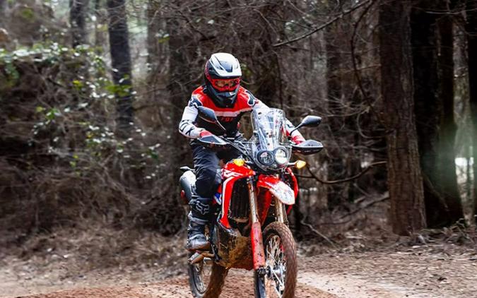 2024 Honda CRF® 300L Rally