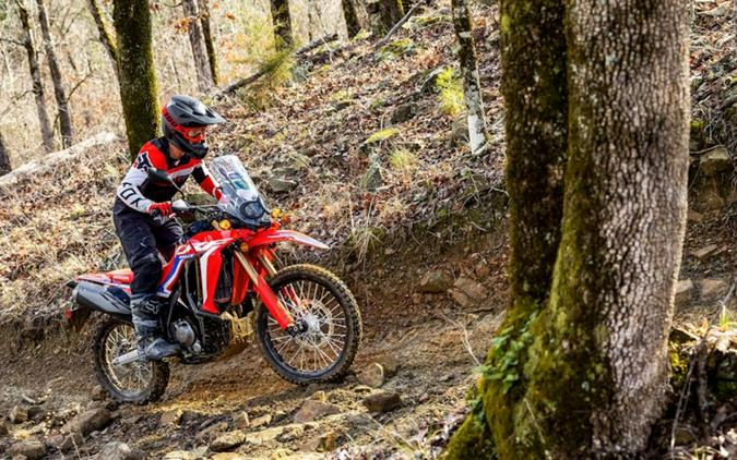 2024 Honda CRF® 300L Rally