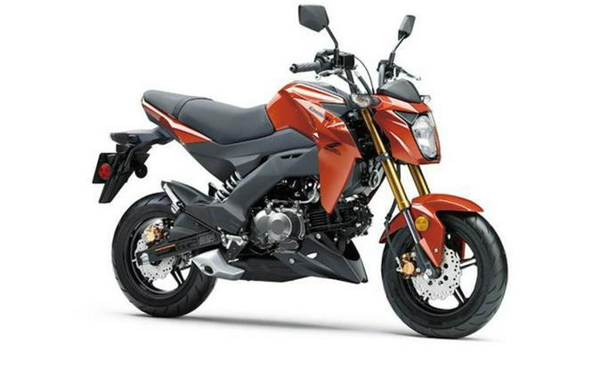 2025 Kawasaki Z125 PRO