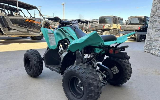 2025 Yamaha Raptor 110