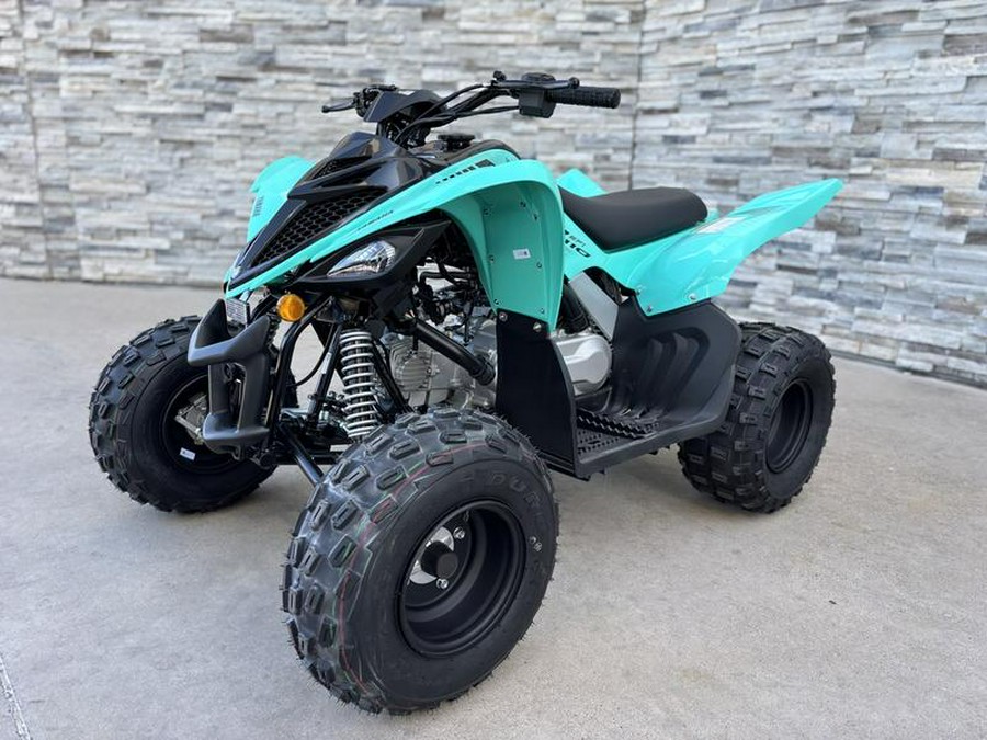 2025 Yamaha Raptor 110