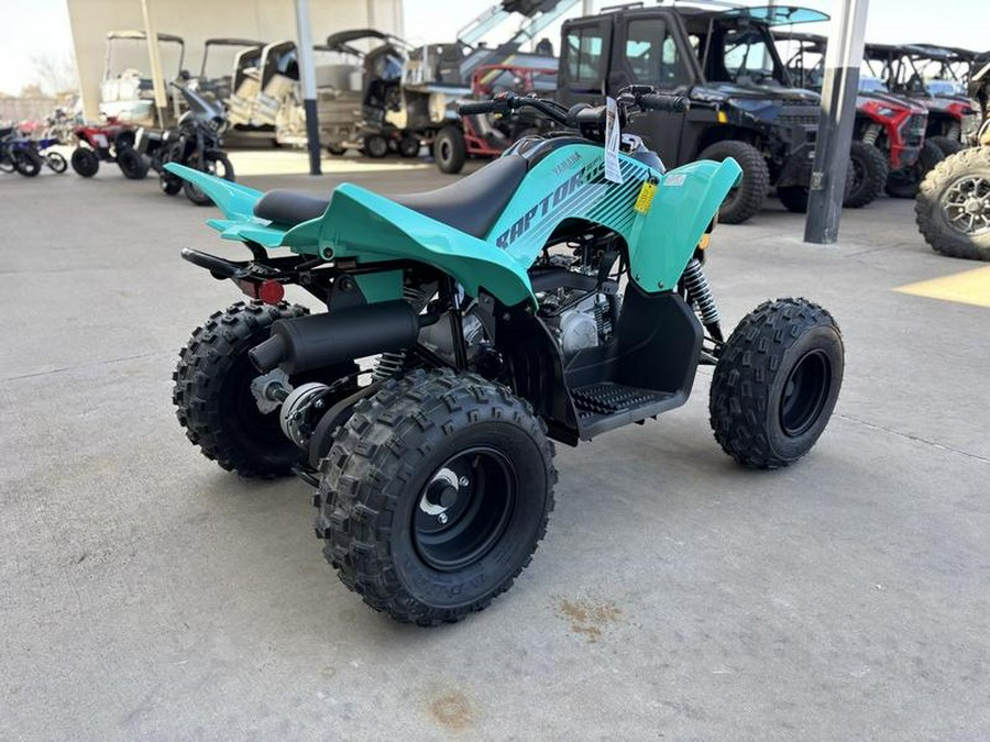 2025 Yamaha Raptor 110