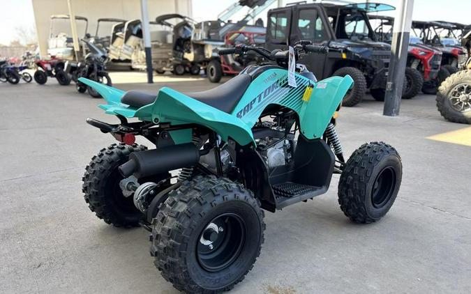 2025 Yamaha Raptor 110