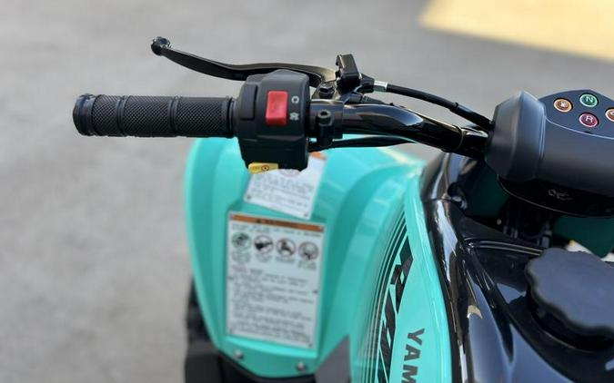 2025 Yamaha Raptor 110