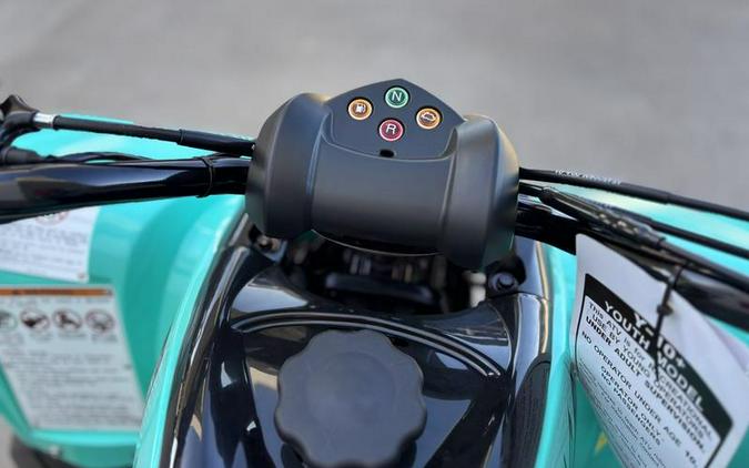 2025 Yamaha Raptor 110