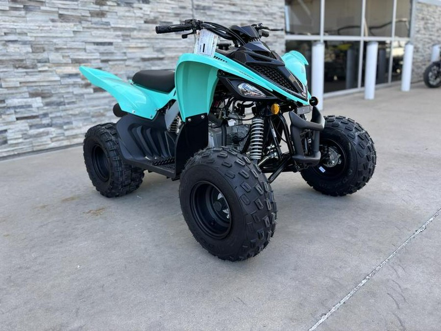 2025 Yamaha Raptor 110