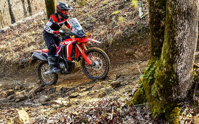 2024 Honda CRF300L Rally