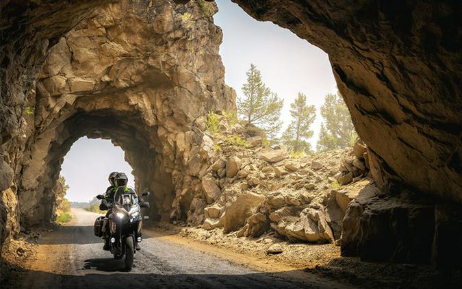 2025 Kawasaki Versys 1100 SE LT ABS