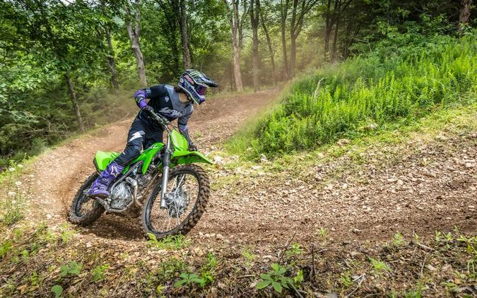 2025 Kawasaki KLX 230R S Lime Green - 110998
