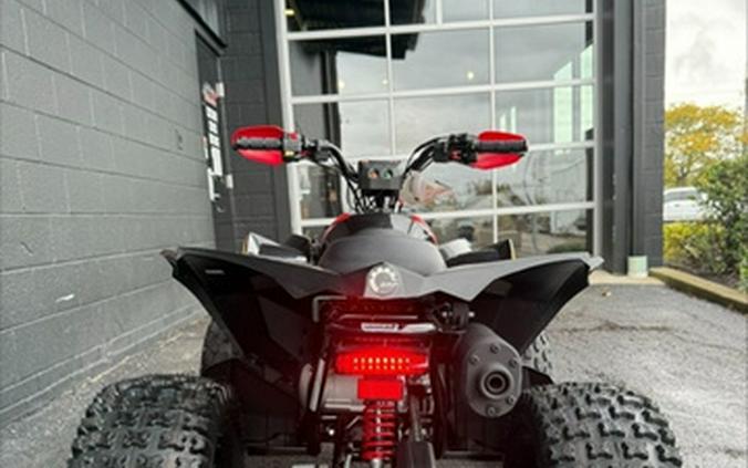 2026 Can-Am Renegade X Xc 110 EFI