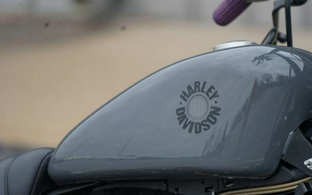 2022 Harley-Davidson XL883N - Iron 883