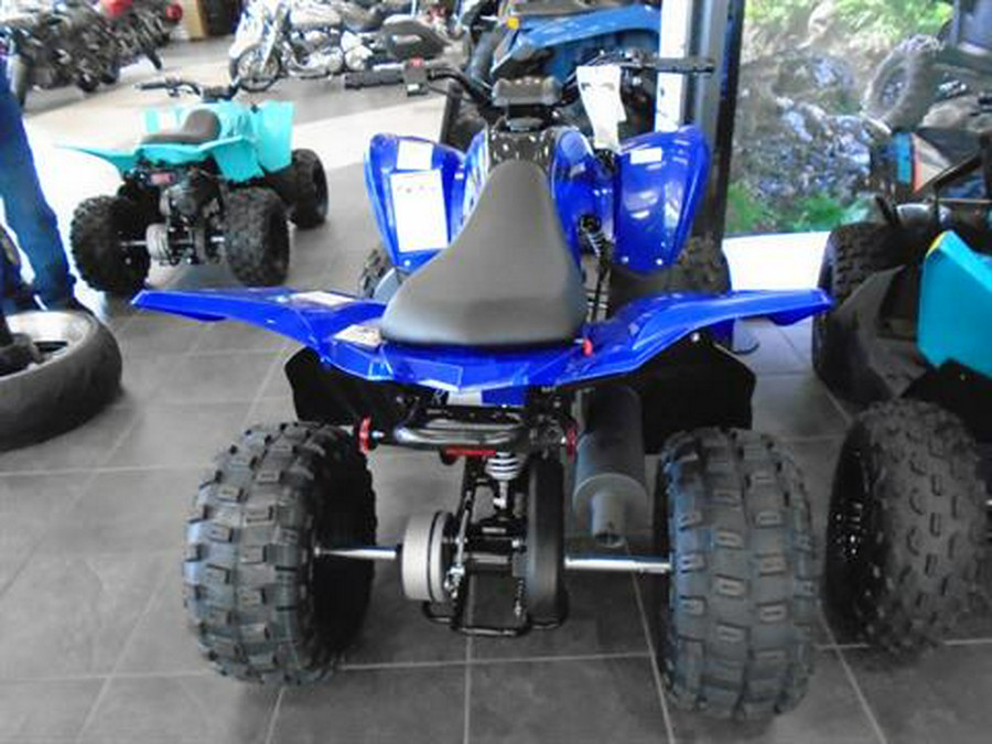 2025 Yamaha Raptor 110