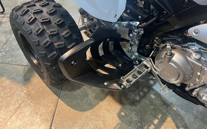 2026 Yamaha Raptor 700