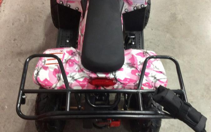 2025 Coolster ATV3050C 110CC
