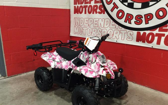 2025 Coolster ATV3050C 110CC