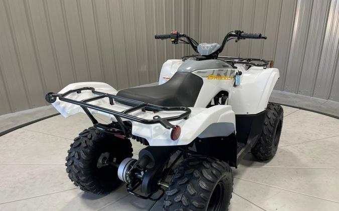 2024 Yamaha GRIZZLY 90