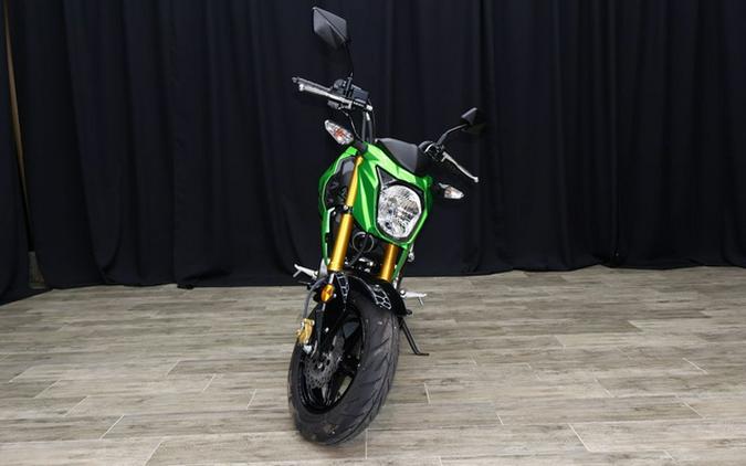 2024 Kawasaki Z125 PRO