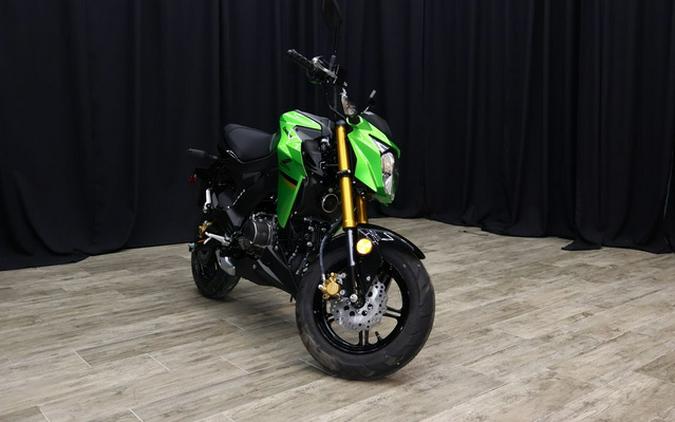 2024 Kawasaki Z125 PRO