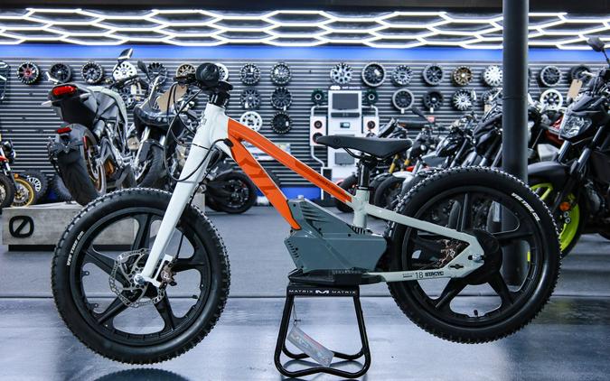 2025 H-D 18eDrive Launch Edition - STACYC