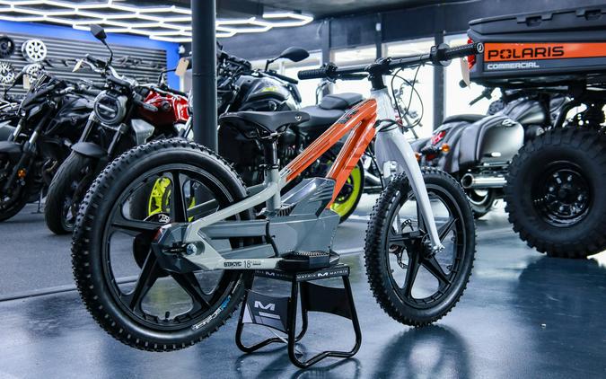 2025 H-D 18eDrive Launch Edition - STACYC
