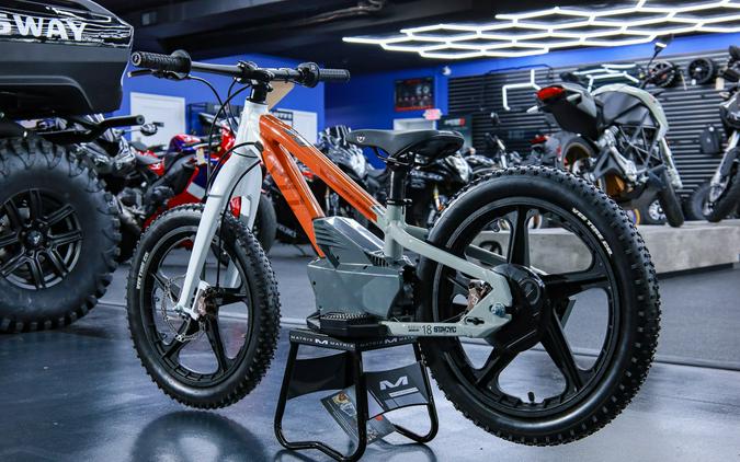 2025 H-D 18eDrive Launch Edition - STACYC