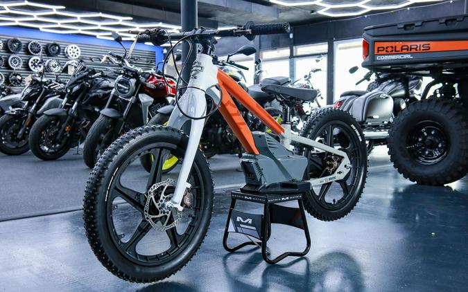 2025 H-D 18eDrive Launch Edition - STACYC