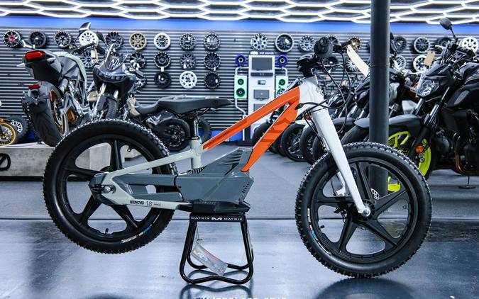 2025 H-D 18eDrive Launch Edition - STACYC
