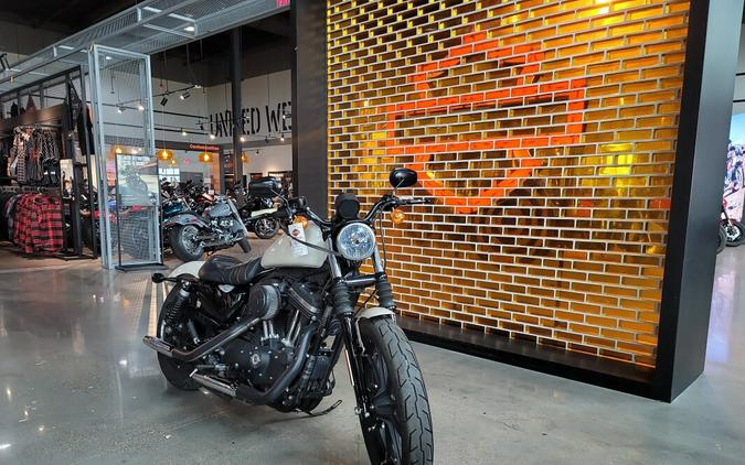 XL 883N 2022 Iron 883™