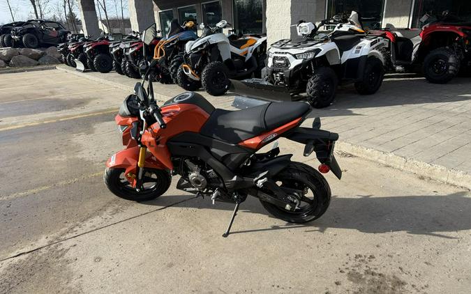 2025 Kawasaki Z125 PRO