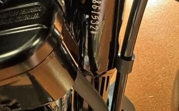 2024 Harley-Davidson Freewheeler®