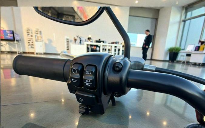 2024 Harley-Davidson FXLRS Low Rider S