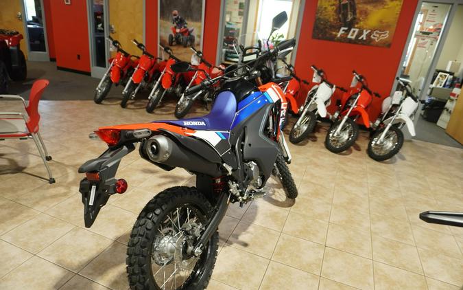 2025 Honda CRF300LRAS