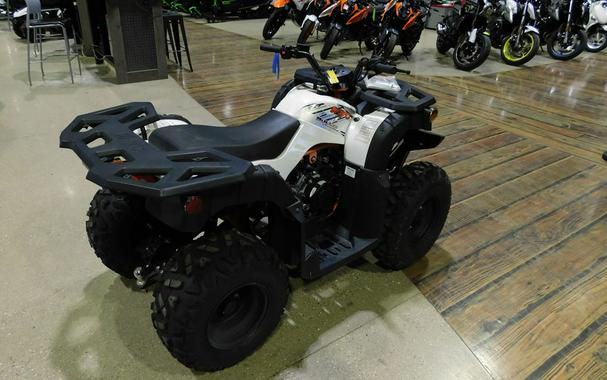 2021 Kayo Bull 180