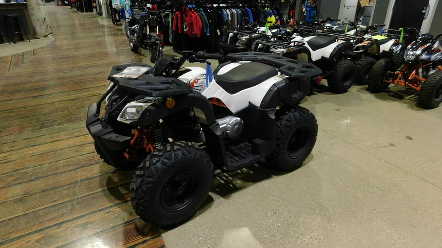 2021 Kayo Bull 180