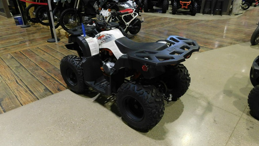 2021 Kayo Bull 180
