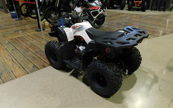 2021 Kayo Bull 180