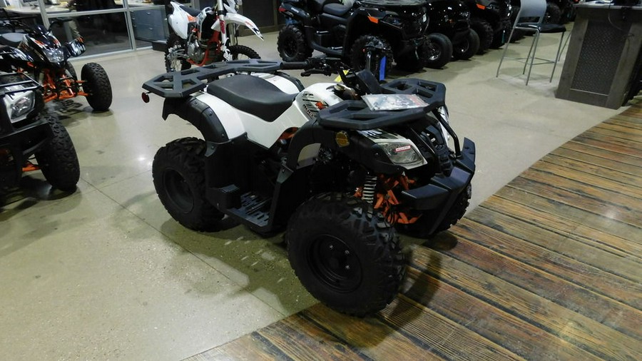 2021 Kayo Bull 180