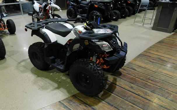 2021 Kayo Bull 180
