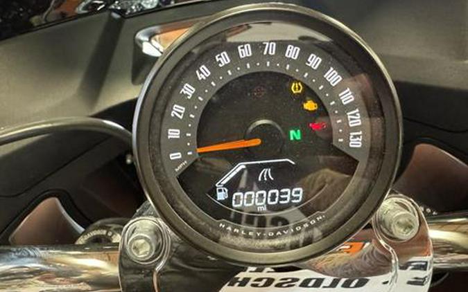 2025 Harley-Davidson Low Rider® ST