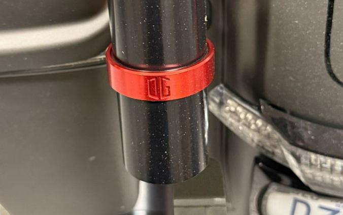 2019 Harley-Davidson Street Glide Special