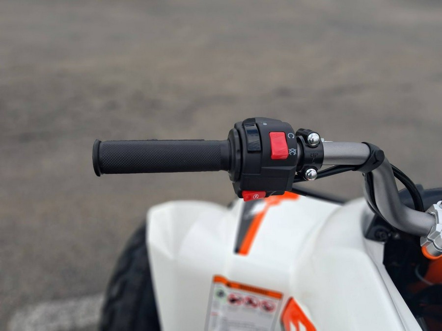 2026 Kayo Storm 300 EFI