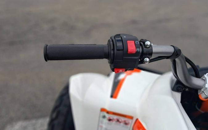 2026 Kayo Storm 300 EFI