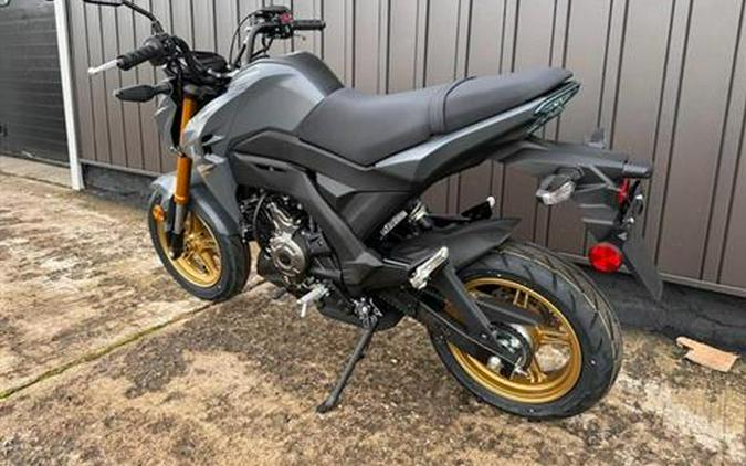 2024 Kawasaki Z125 Pro