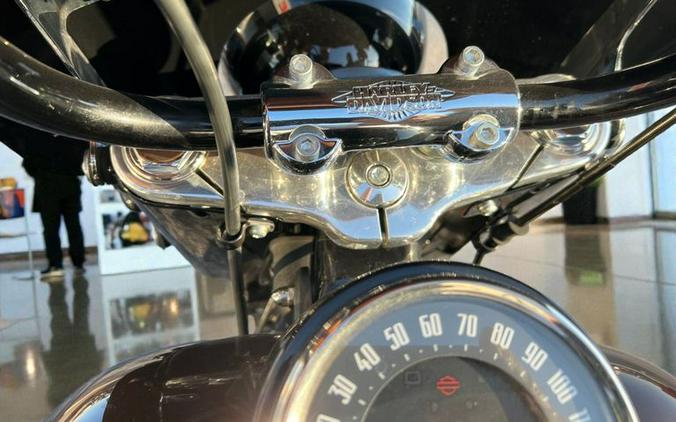 2019 Harley-Davidson Heritage Classic