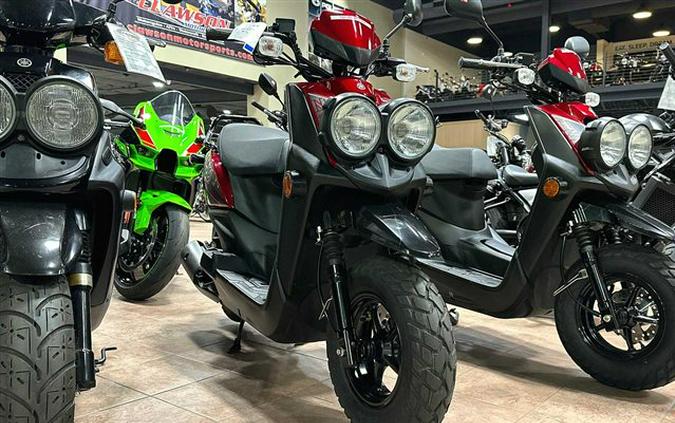 2019 Yamaha Zuma 50F