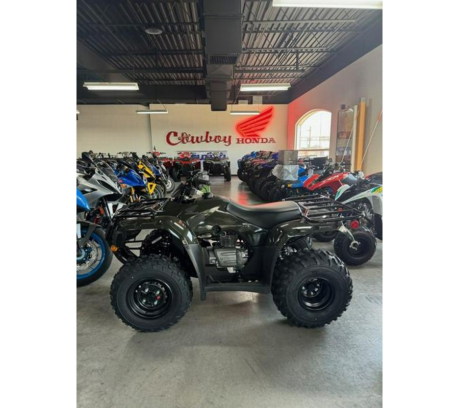 2024 Honda® Fourtrax Recon ES