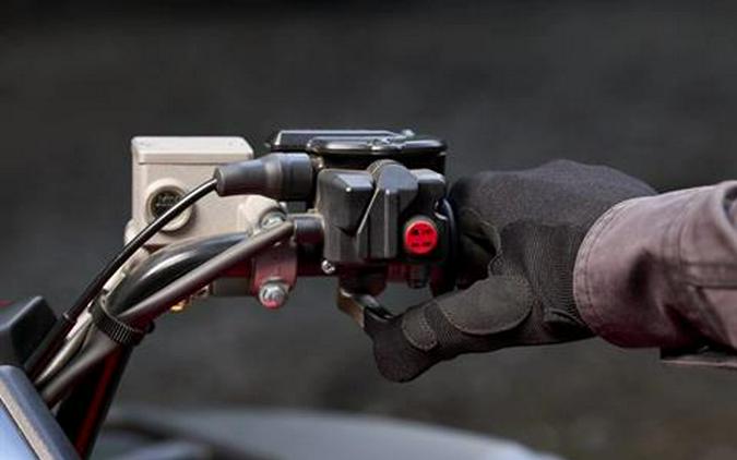 2025 Yamaha Grizzly EPS